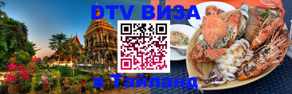 Оформление DTV визы под ключ: стоимость и тарифы, только загранпаспорт - 20.11.2025 